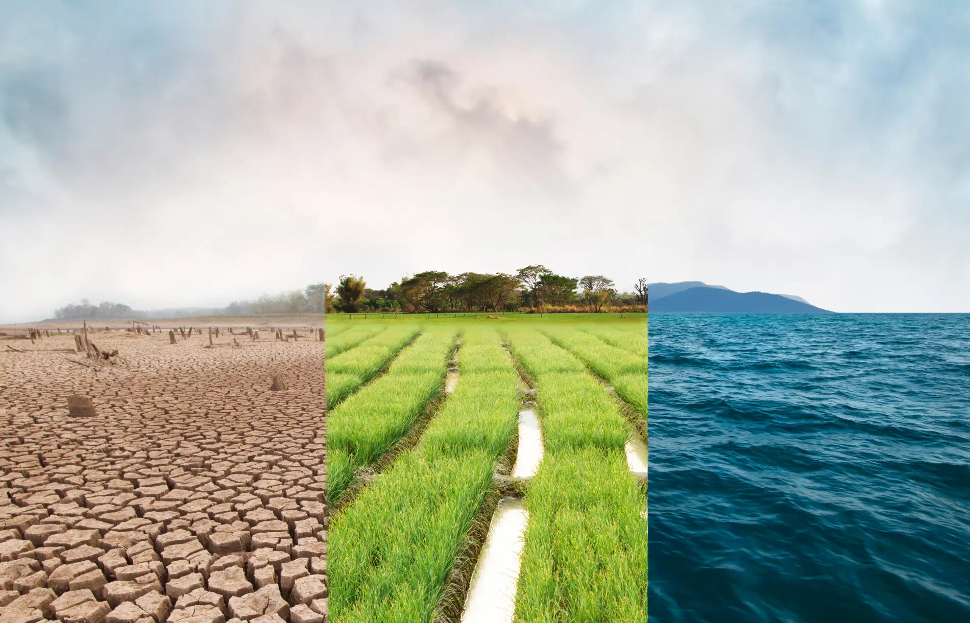 Loi climat et résilience